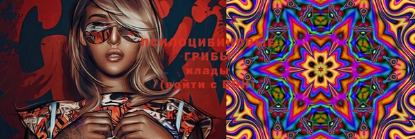 гашик Вязьма