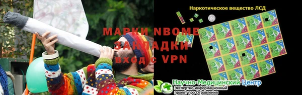 гашик Вязьма