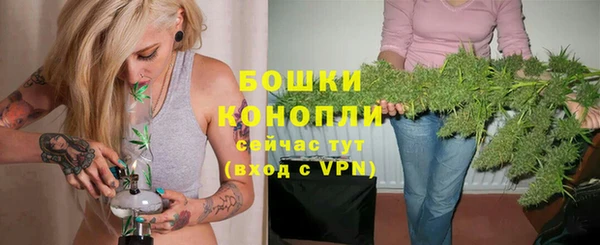 гашик Вязьма