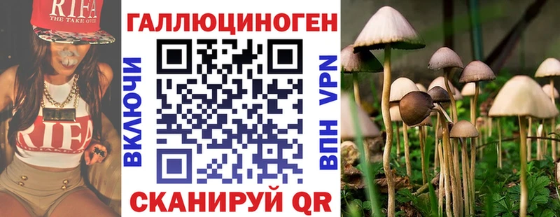 Купить закладки  Медногорск  Псилоцибиновые грибы мицелий 